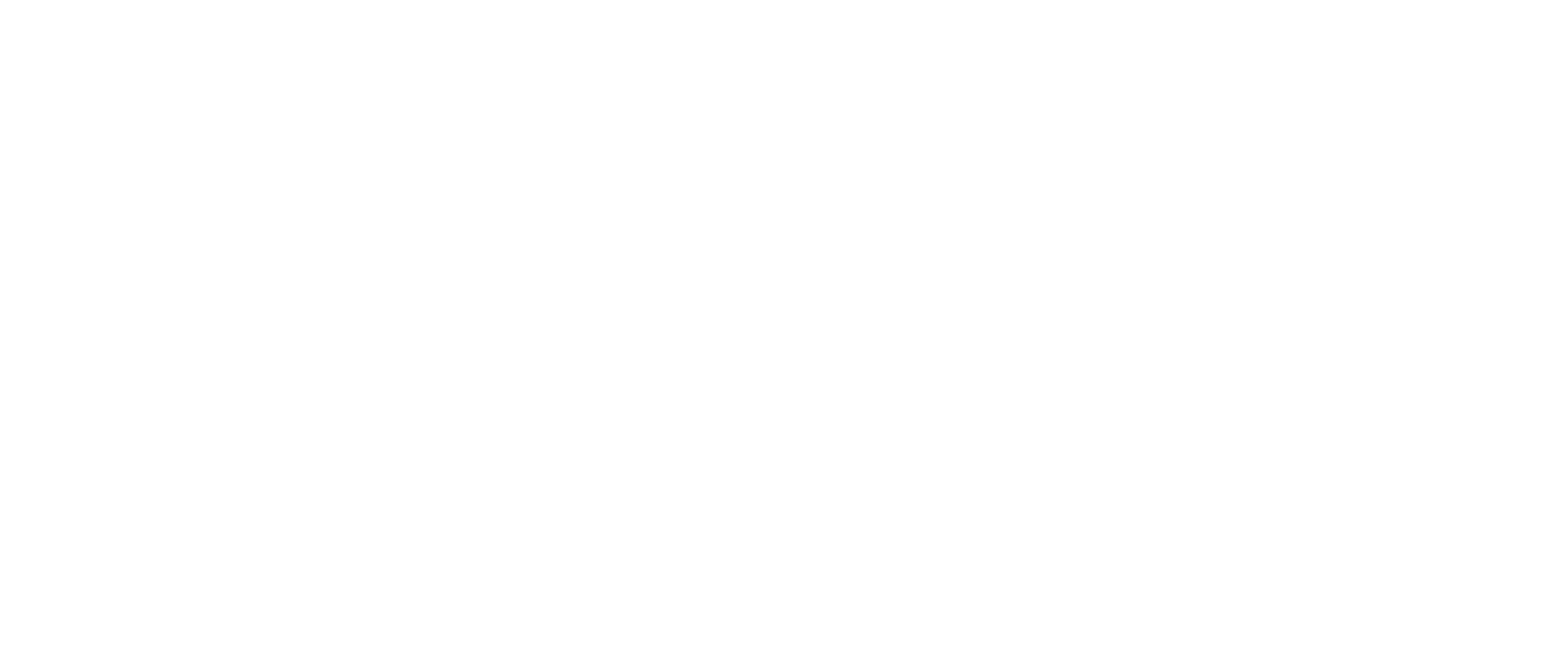 IRON 907 Coupe side profile